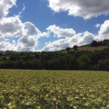 Palazzetto Bentivoglio * Sassoferrato